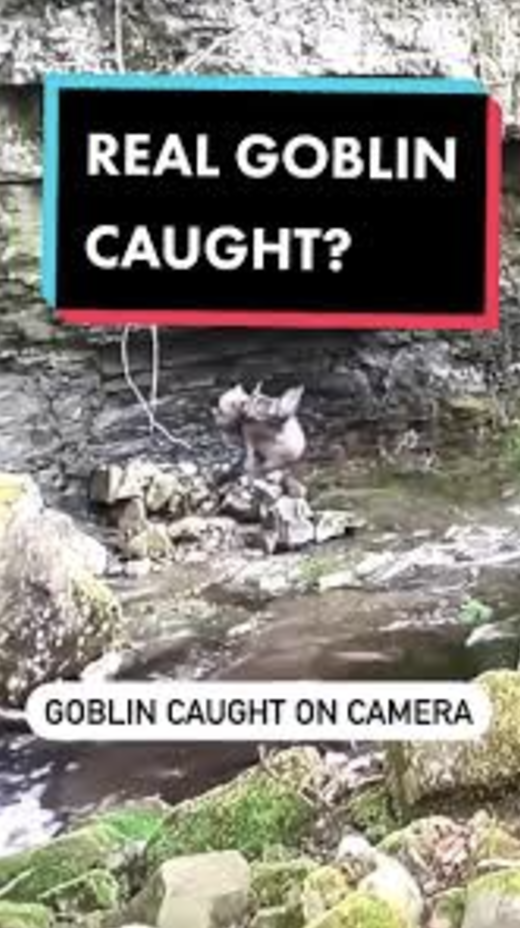 18 'Real-Life' Gnome Sightings Caught on Camera